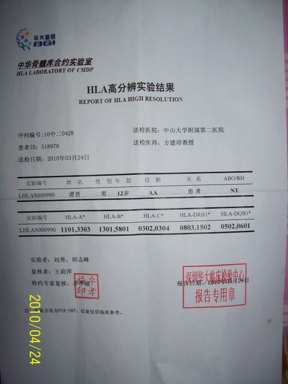 HLA高分辨实验结果